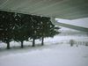 Filename=2005WinterStorm5.jpg
Filesize=65KB
Dimensions=640x480
Date added=Dec 13, 2007 2005WinterStorm5.jpg
