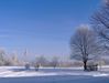 Filename=2007SnowTrees3.jpg
Filesize=60KB
Dimensions=640x485
Date added=Dec 20, 2007 2007SnowTrees3.jpg