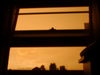 Filename=7BrightTStormJuly2004.jpg
Filesize=71KB
Dimensions=640x480
Date added=Dec 13, 2007 7BrightTStormJuly2004.jpg
