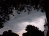 Filename=FJuly2004TStorm8.jpg
Filesize=40KB
Dimensions=640x480
Date added=Dec 13, 2007 FJuly2004TStorm8.jpg