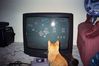 Filename=FunnyCat1.jpg
Filesize=36KB
Dimensions=600x400
Date added=Dec 12, 2007 FunnyCat1.jpg