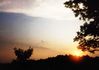 Filename=Sunset4.jpg
Filesize=59KB
Dimensions=1291x916
Date added=Dec 13, 2007 Sunset4.jpg