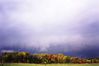 Filename=Thunderstorm5.jpg
Filesize=81KB
Dimensions=1681x1126
Date added=Dec 13, 2007 Thunderstorm5.jpg