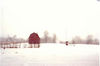 Filename=Winter1.jpg
Filesize=24KB
Dimensions=889x588
Date added=Dec 13, 2007 Winter1.jpg